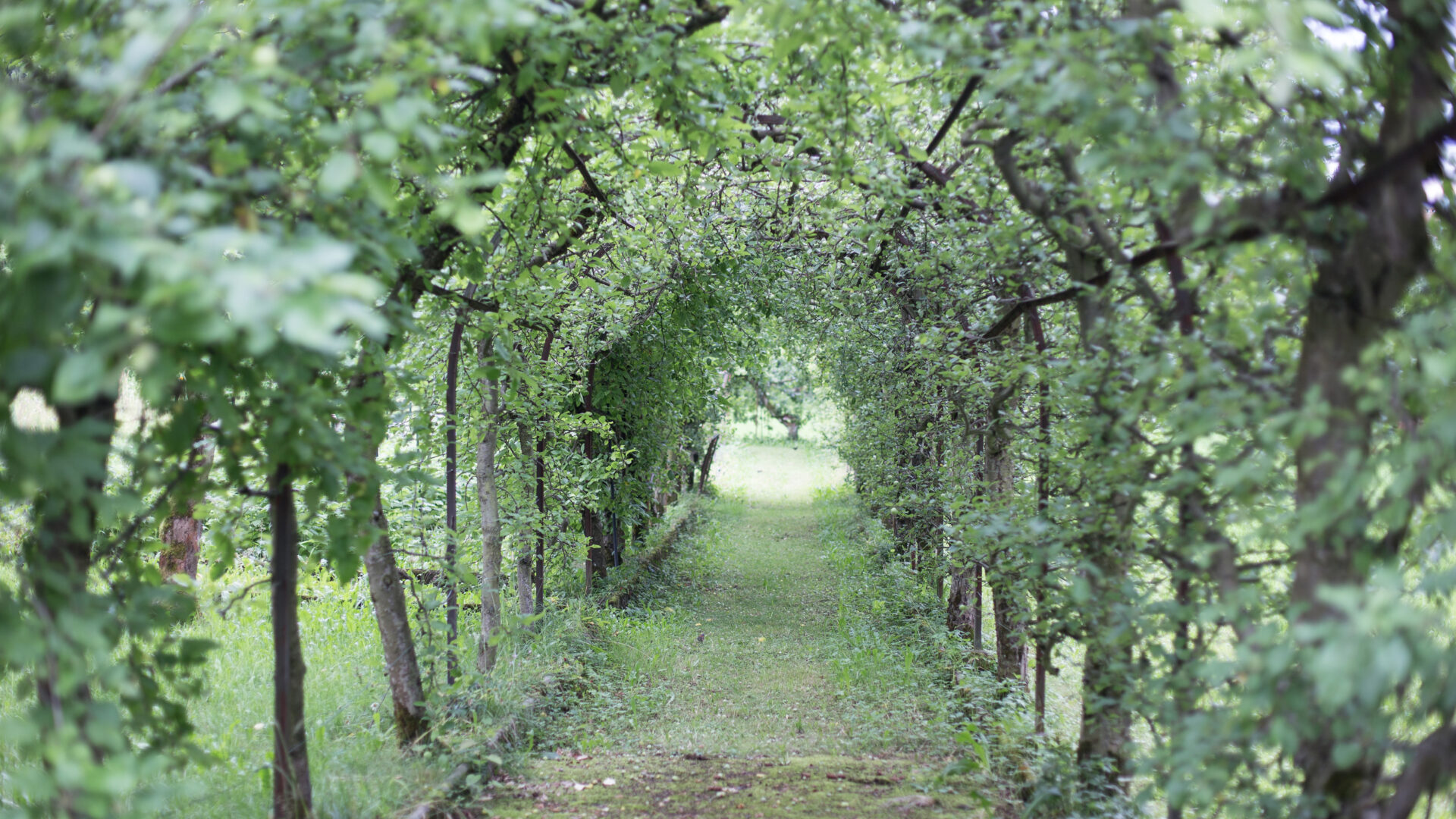 med_wesemlin_philosophie-24